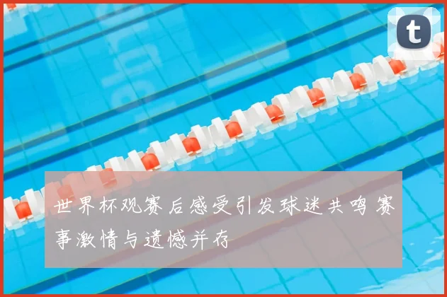 世界杯观赛后感受引发球迷共鸣 赛事激情与遗憾并存