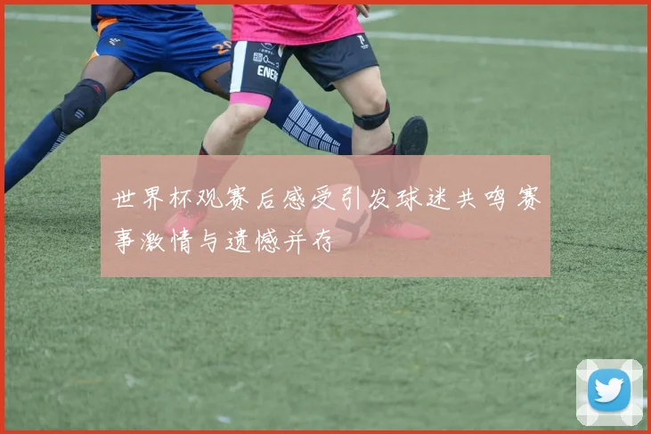 世界杯观赛后感受引发球迷共鸣 赛事激情与遗憾并存