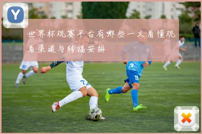 世界杯观赛平台有哪些一文看懂观看渠道与转播安排