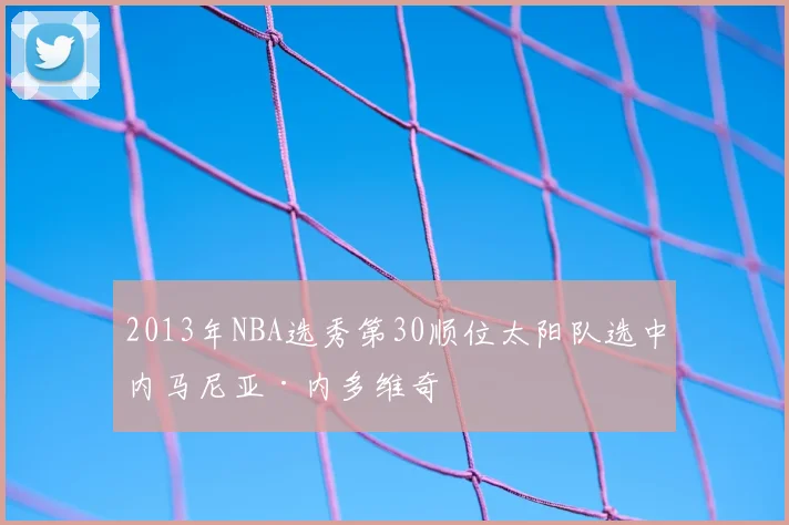 2013年NBA选秀第30顺位太阳队选中内马尼亚·内多维奇