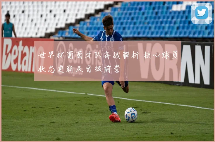 世界杯葡萄牙队备战解析 核心球员状态更新及晋级前景