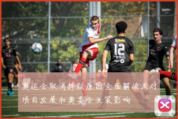 奥运会取消摔跤原因全面解读及对项目发展和奥委会决策影响