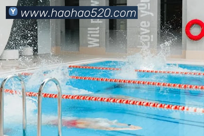 bsports网页版在线登录服务体系