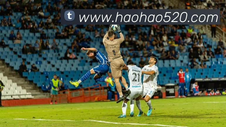 bsports网页版在线登录APP 体育赛事宣传图